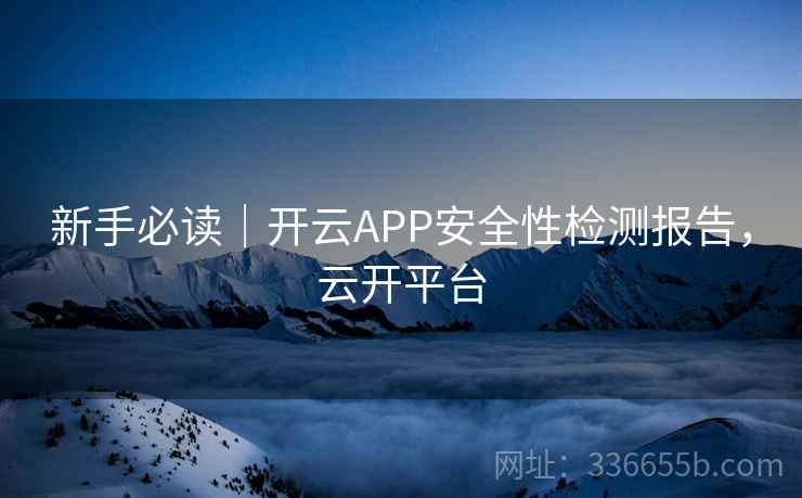 新手必读|开云APP安全性检测报告,云开平台 新手必读|开云APP安全性检测报告,云开平台