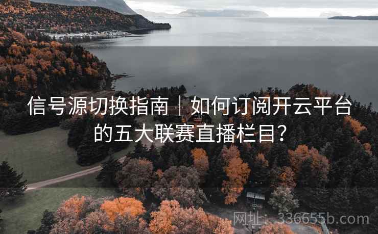 信号源切换指南｜如何订阅开云平台的五大联赛直播栏目？