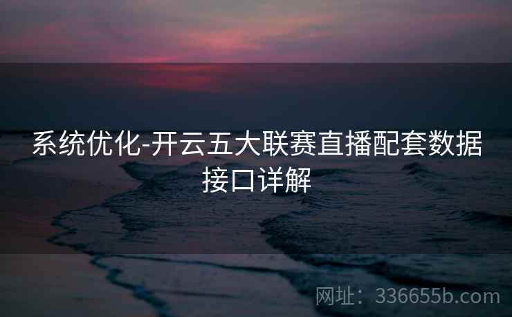 系统优化-开云五大联赛直播配套数据接口详解