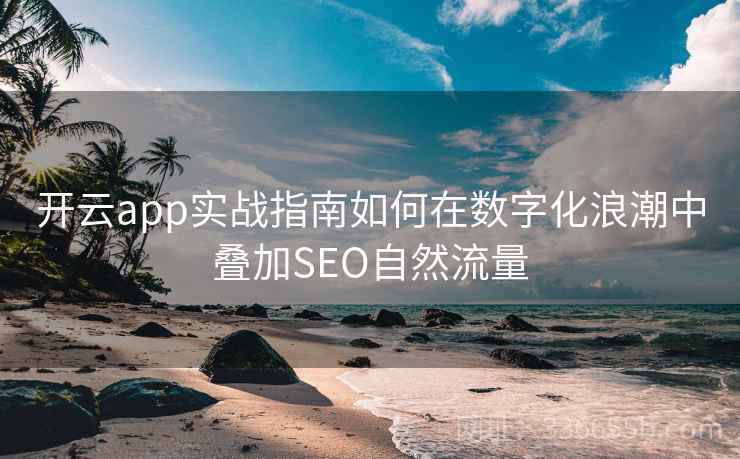 开云app实战指南如何在数字化浪潮中叠加SEO自然流量 开云app实战指南如何在数字化浪潮中叠加SEO自然流量
