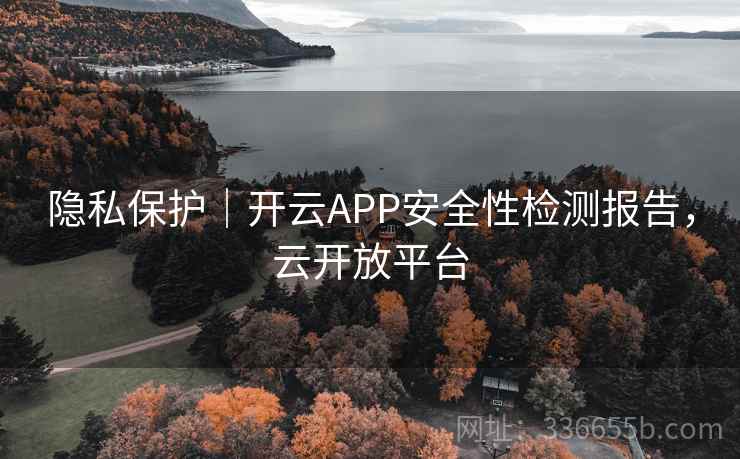 隐私保护|开云APP安全性检测报告,云开放平台 隐私保护|开云APP安全性检测报告,云开放平台