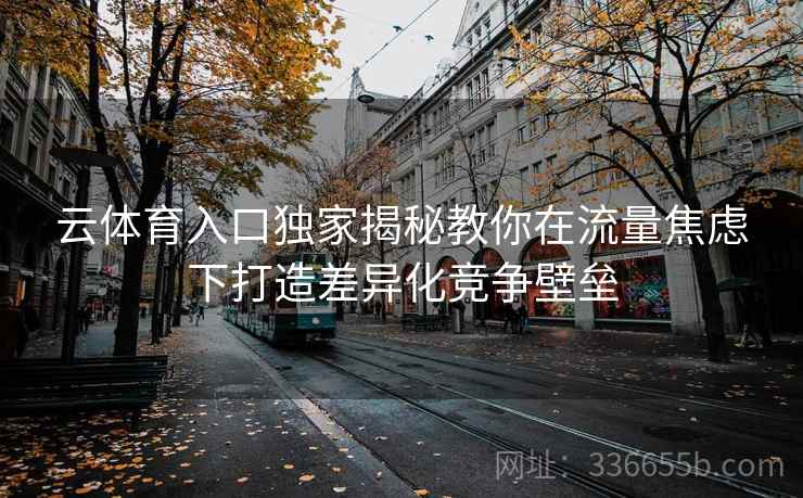 云体育入口独家揭秘教你在流量焦虑下打造差异化竞争壁垒