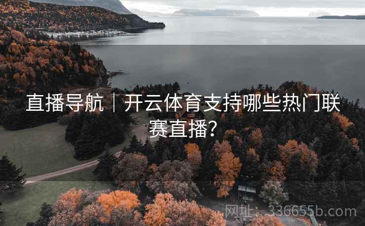 直播导航｜开云体育支持哪些热门联赛直播？